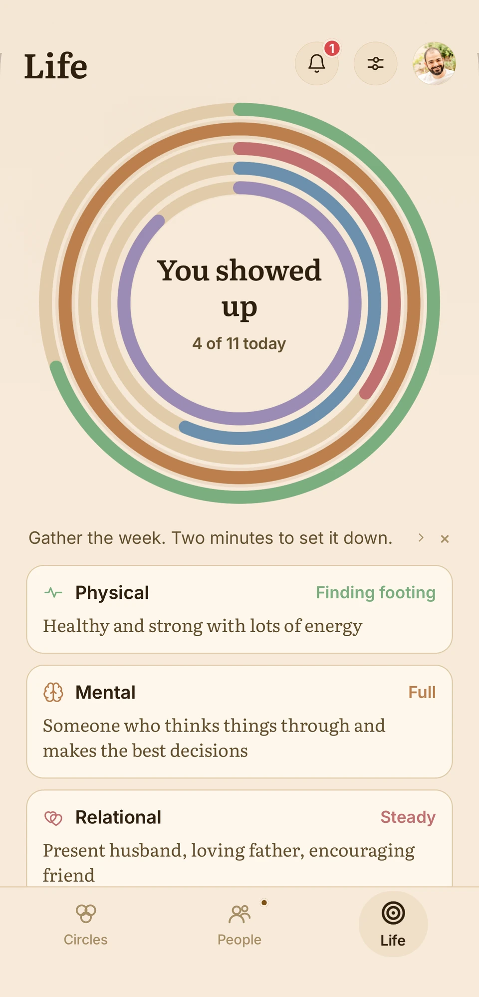 The Life tab: a ring of five colors filling as you show up across your whole life