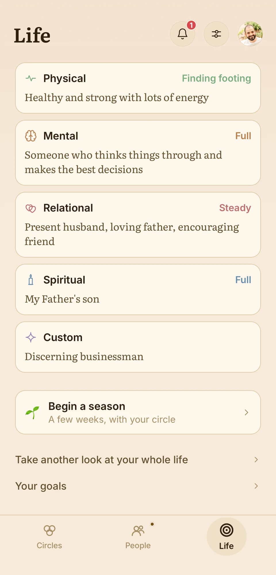 The five life areas, each with its standing and a phrase instead of a score